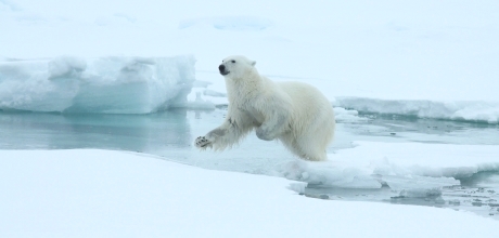 Spitsbergen